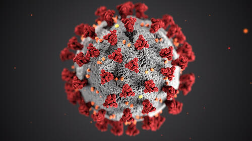 Photo of the corona virus. Grey circular object with red and orange specks.